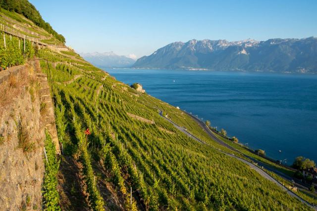Combien de bouteilles de vin peut-on importer en Suisse ? bouteilles de vin
