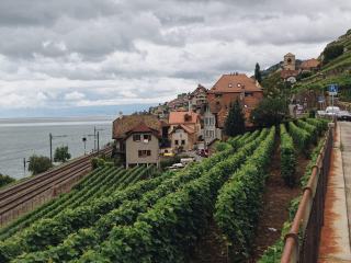 Voyage avec du vin
