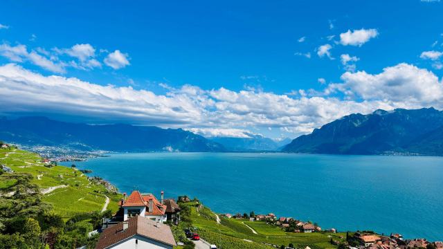 Où trouver du vin suisse en France, et à quel prix d'entrée vin suisse en France
