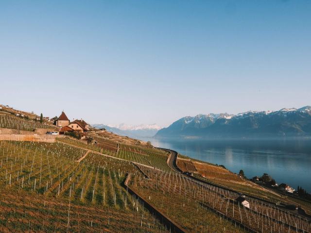 Vins Genève