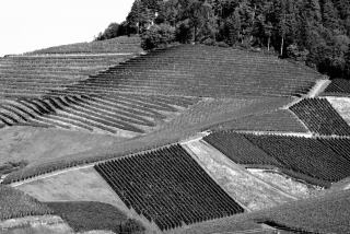 Combien coûte une bouteille de Dézaley grand cru ?