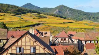 Que manger avec du gewurztraminer ?