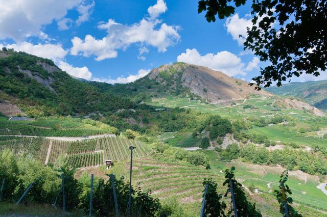 Quel est le meilleur vin rouge en suisse ? Meilleur vin rouge
