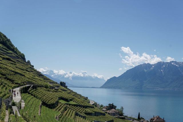 Vin Suisse Choisissez le meilleur champagne pour le réveillon 2025