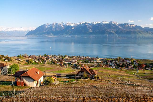 Vins suisses et villas de luxe : le charme de la cohabitation Vins suisses et villas de luxe : le charme de la cohabitation