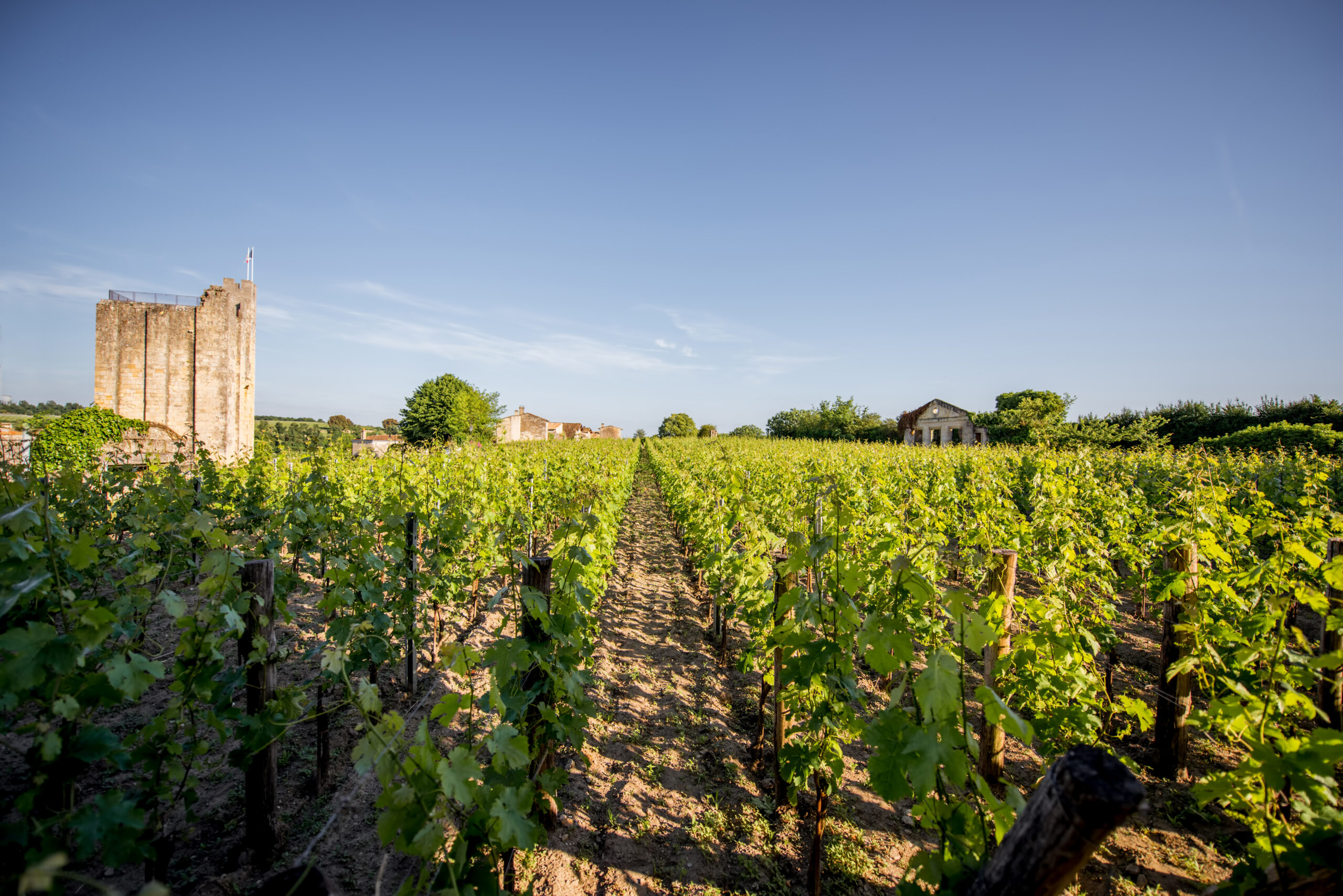 Les meilleurs domaines de Saint-Émilion Grand Cru
